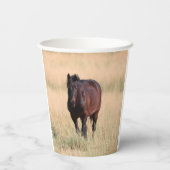Brown Bay Wild Mustang Paard Papieren Bekers (Achterkant)