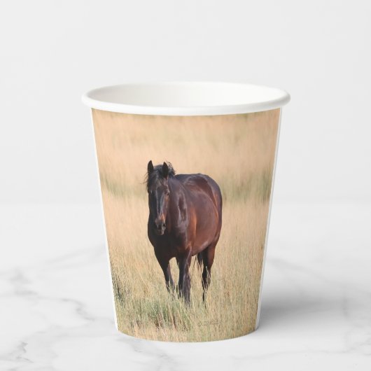 Brown Bay Wild Mustang Paard Papieren Bekers (Achterkant)