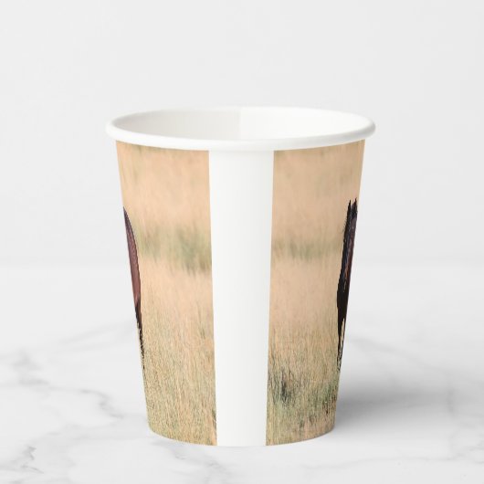 Brown Bay Wild Mustang Paard Papieren Bekers (Links)