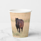 Brown Bay Wild Mustang Paard Papieren Bekers (Voorkant)