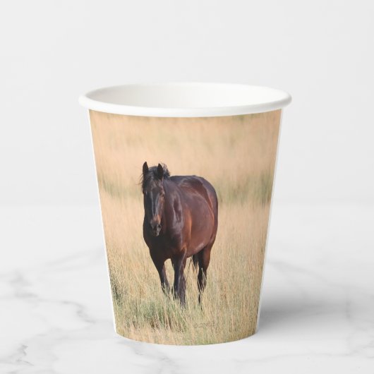 Brown Bay Wild Mustang Paard Papieren Bekers (Voorkant)