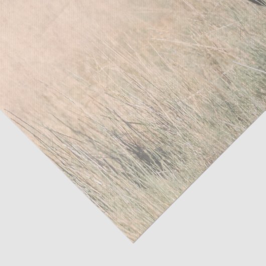 Brown Bay Wild Mustang Paard Tissuepapier (Detail)