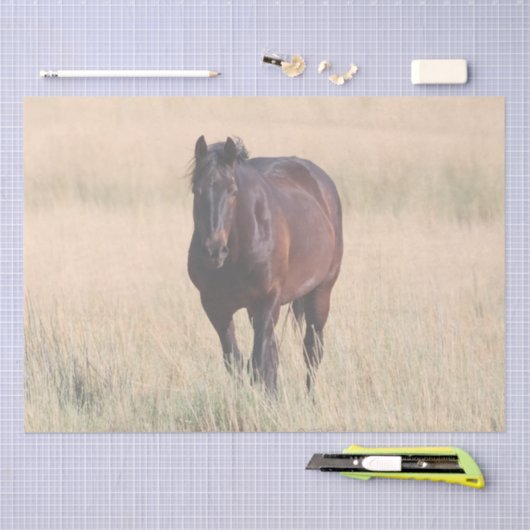 Brown Bay Wild Mustang Paard Tissuepapier (Craft)