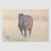 Brown Bay Wild Mustang Paard Tissuepapier (Voorkant)