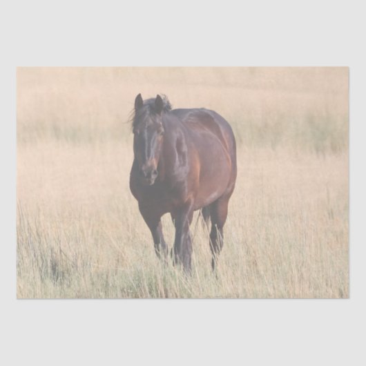 Brown Bay Wild Mustang Paard Tissuepapier (Voorkant)