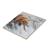 Brown Bear Catches Red Salmon Tegeltje (Zijkant)