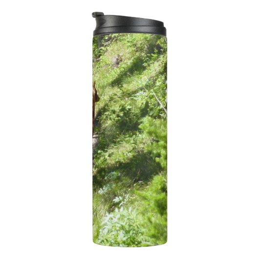 Brown Bear Family Thermosbeker (Geroteerd rechts)