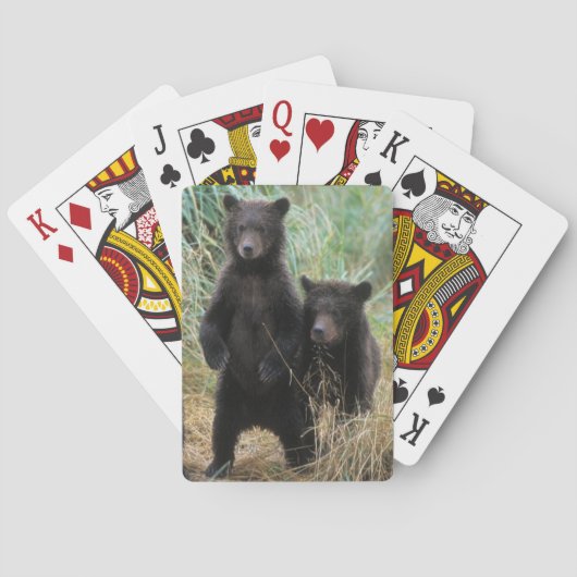brown bear, Ursus arctos, grizzly bear, Ursus 7 2 Pokerkaarten (Achterkant)