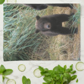 brown bear, Ursus arctos, grizzly bear, Ursus 7 2 Theedoek (Gevouwen)