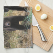 brown bear, Ursus arctos, grizzly bear, Ursus 7 2 Theedoek (Quarter Fold)