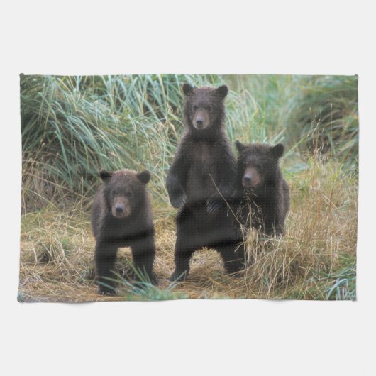 brown bear, Ursus arctos, grizzly bear, Ursus 7 2 Theedoek (Horizontaal)