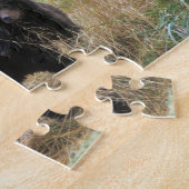 brown bear, Ursus arctos, grizzly bear, Ursus 7 Legpuzzel (Zijkant)