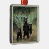 brown bear, Ursus arctos, grizzly bear, Ursus 7 Metalen Ornament (Rechts)