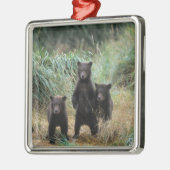 brown bear, Ursus arctos, grizzly bear, Ursus 7 Metalen Ornament (Links)