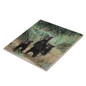 brown bear, Ursus arctos, grizzly bear, Ursus 7 Tegeltje (Zijkant)