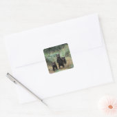brown bear, Ursus arctos, grizzly bear, Ursus 7 Vierkante Sticker (Envelop)