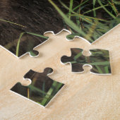 brown bear, Ursus arctos, grizzly bear, Ursus 9 Legpuzzel (Zijkant)