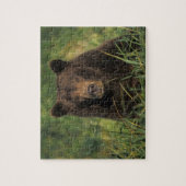 brown bear, Ursus arctos, grizzly bear, Ursus 9 Legpuzzel (Verticaal)