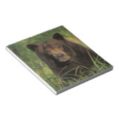 brown bear, Ursus arctos, grizzly bear, Ursus 9 Notitieblok (Schuin)