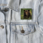 brown bear, Ursus arctos, grizzly bear, Ursus 9 Vierkante Button 5,1 Cm (In situ)