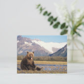 brown bear, Ursus arctos, grizzly bear, Ursus Briefkaart (Staand voorkant)