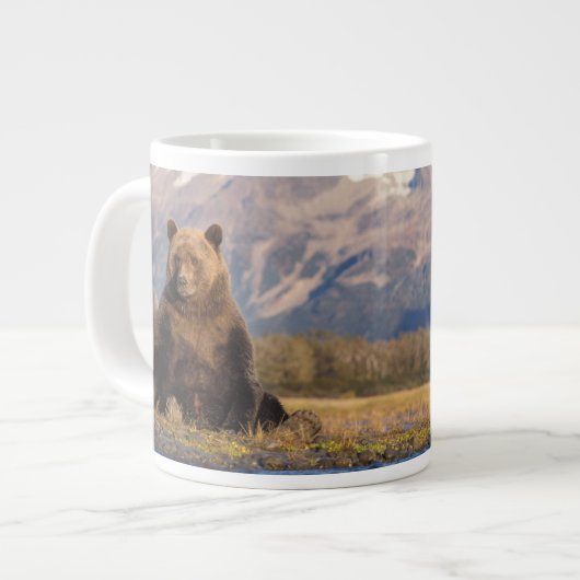 brown bear, Ursus arctos, grizzly bear, Ursus Grote Koffiekop (Links)