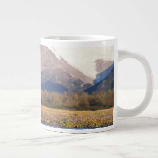 brown bear, Ursus arctos, grizzly bear, Ursus Grote Koffiekop (Rechts)