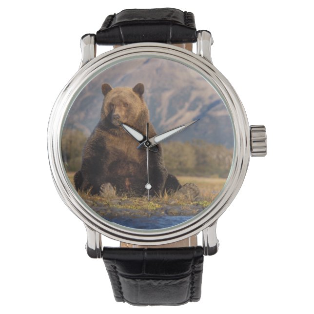 brown bear, Ursus arctos, grizzly bear, Ursus Horloge (Voorkant)