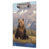 brown bear, Ursus arctos, grizzly bear, Ursus Klembord (Links)