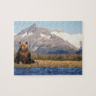 brown bear, Ursus arctos, grizzly bear, Ursus Legpuzzel