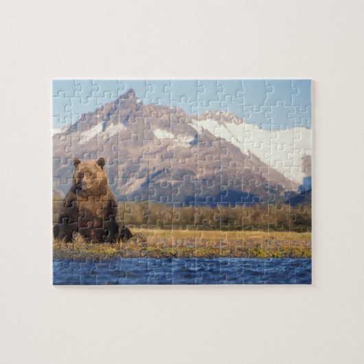brown bear, Ursus arctos, grizzly bear, Ursus Legpuzzel (Horizontaal)