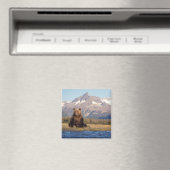 brown bear, Ursus arctos, grizzly bear, Ursus Magneet (Insitu (Vaatwasser))