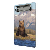 brown bear, Ursus arctos, grizzly bear, Ursus Mini Klembord (Angled2)