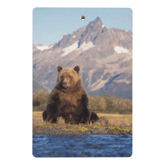 brown bear, Ursus arctos, grizzly bear, Ursus Mini Klembord (Achterkant)