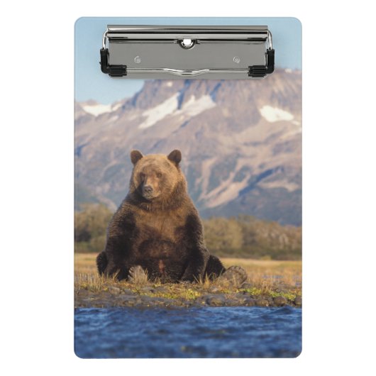 brown bear, Ursus arctos, grizzly bear, Ursus Mini Klembord (Voorkant)