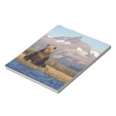 brown bear, Ursus arctos, grizzly bear, Ursus Notitieblok (Linkerzijde)