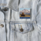 brown bear, Ursus arctos, grizzly bear, Ursus Vierkante Button 5,1 Cm (In situ)