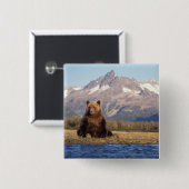 brown bear, Ursus arctos, grizzly bear, Ursus Vierkante Button 5,1 Cm (Voorkant /achterkant)
