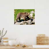 Brown bear walking poster (Keuken)