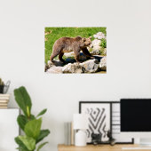 Brown bear walking poster (Thuiskantoor)