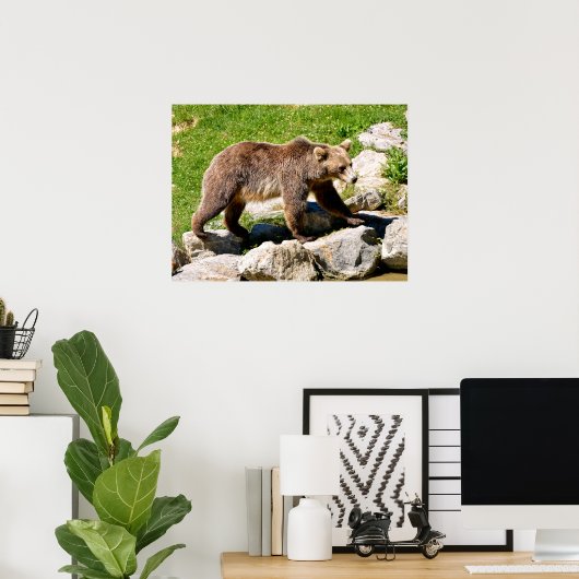 Brown bear walking poster (Thuiskantoor)