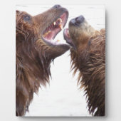 Brown Bears Fotoplaat (Voorkant)
