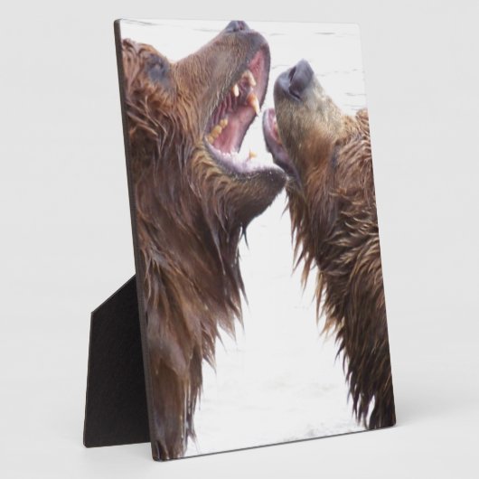 Brown Bears Fotoplaat (Zijkant)