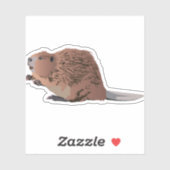 Brown Beaver Sticker (Vel)
