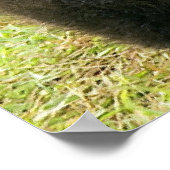 Brown_Beer_Kodiak_Cub_NWR Poster (Hoek)