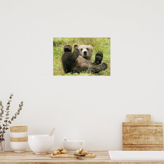 Brown_Beer_Kodiak_Cub_NWR Poster (Keuken)