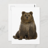 Brown Beer Trees Double Exposure Briefkaart (Voorkant / Achterkant)