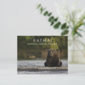 Brown Beer zit in Brooks River, Katmai NPP. AK Briefkaart (Staand voorkant)