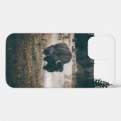 BROWN BISON OP BROWN GRASS FIELD TIJDENS DAG Case-Mate iPhone CASE (Achterkant (horizontaal))