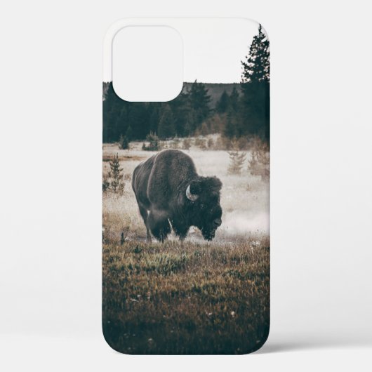 BROWN BISON OP BROWN GRASS FIELD TIJDENS DAG Case-Mate iPhone CASE (Achterkant)
